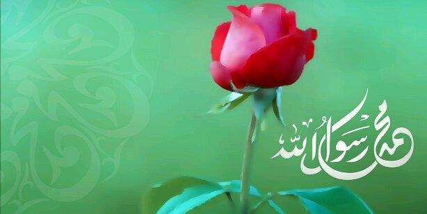 canreyhani's profile banner image