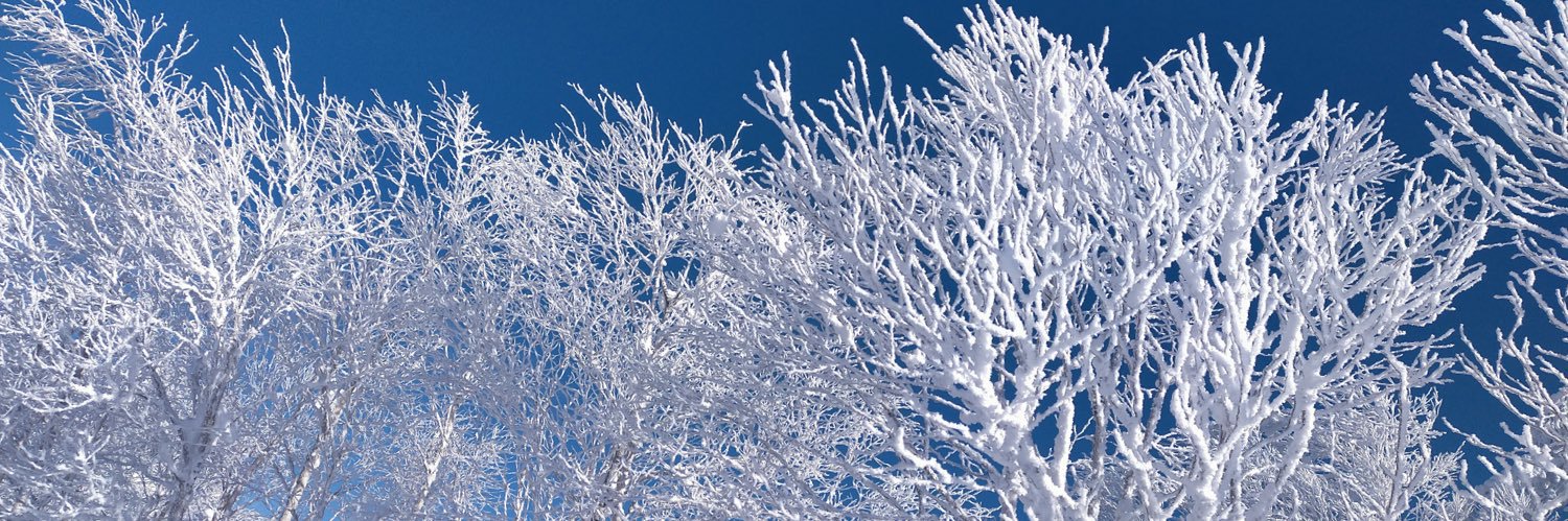 monja⭐️士業&現業できるDXエンジニア🐠 banner