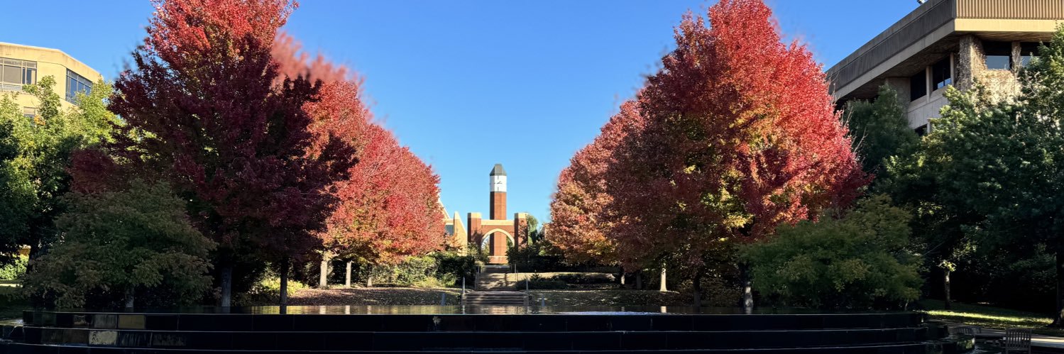 Chandra Menendez, PhD banner
