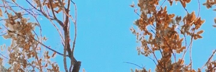 TaamiBlatter's profile banner image