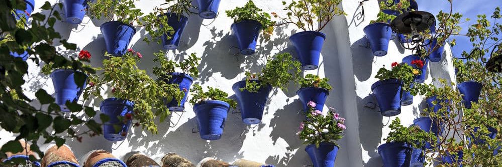 ABCdaria 💃🏼 banner