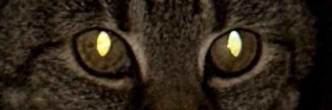 RealAguss's profile banner image