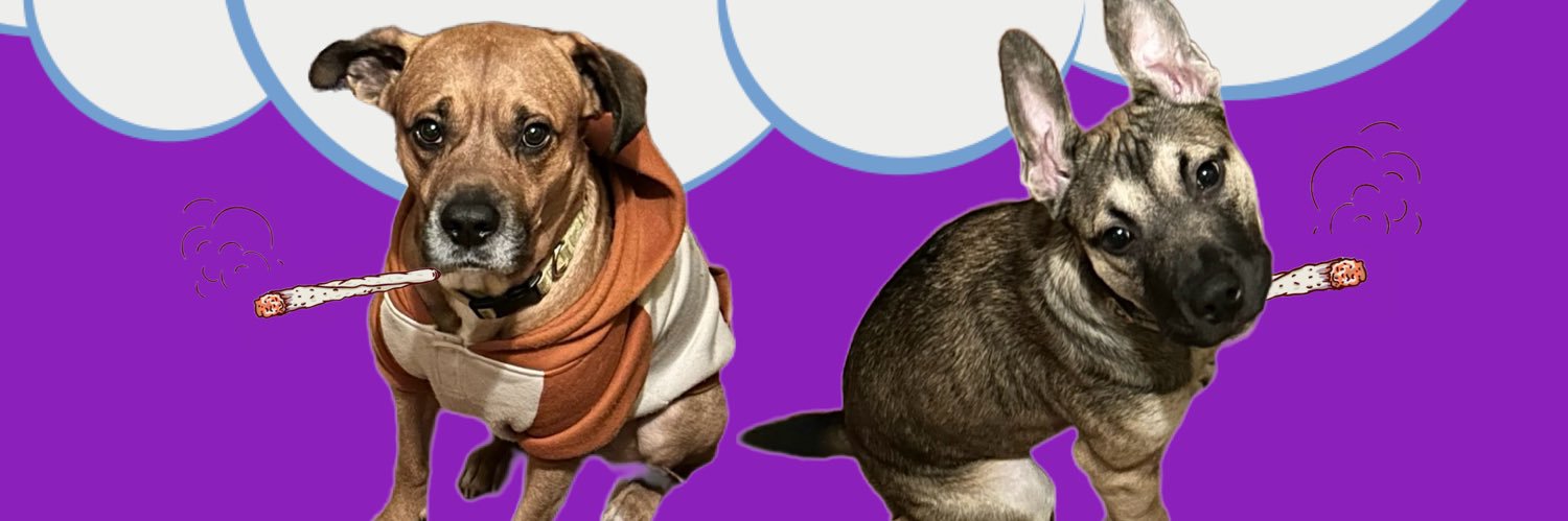 freddyb42's profile banner image
