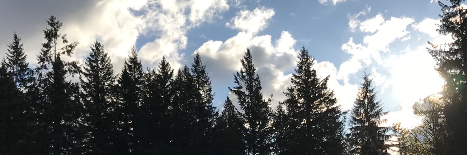 MasonWooley's profile banner image