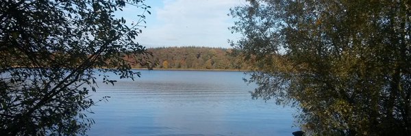 tragheal Profile Banner