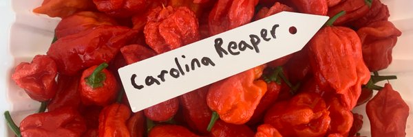 CarlSian Profile Banner
