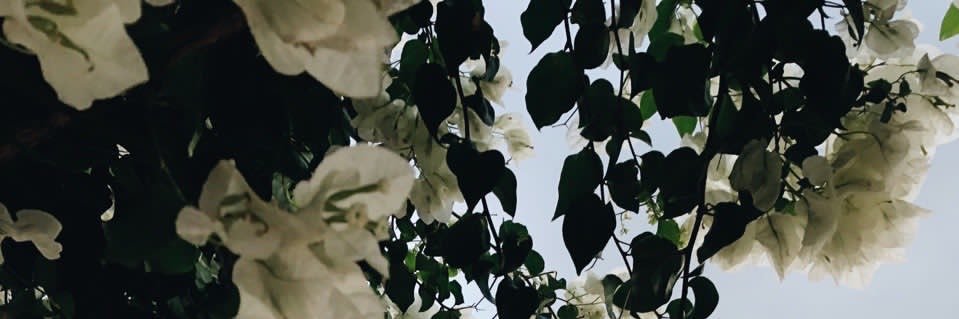ixabeer_'s profile banner image