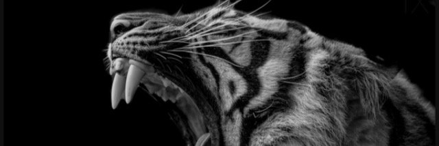 lllllllllllll banner