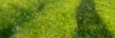 Eng. Sir Wrights 🇰🇪🇹🇷 banner