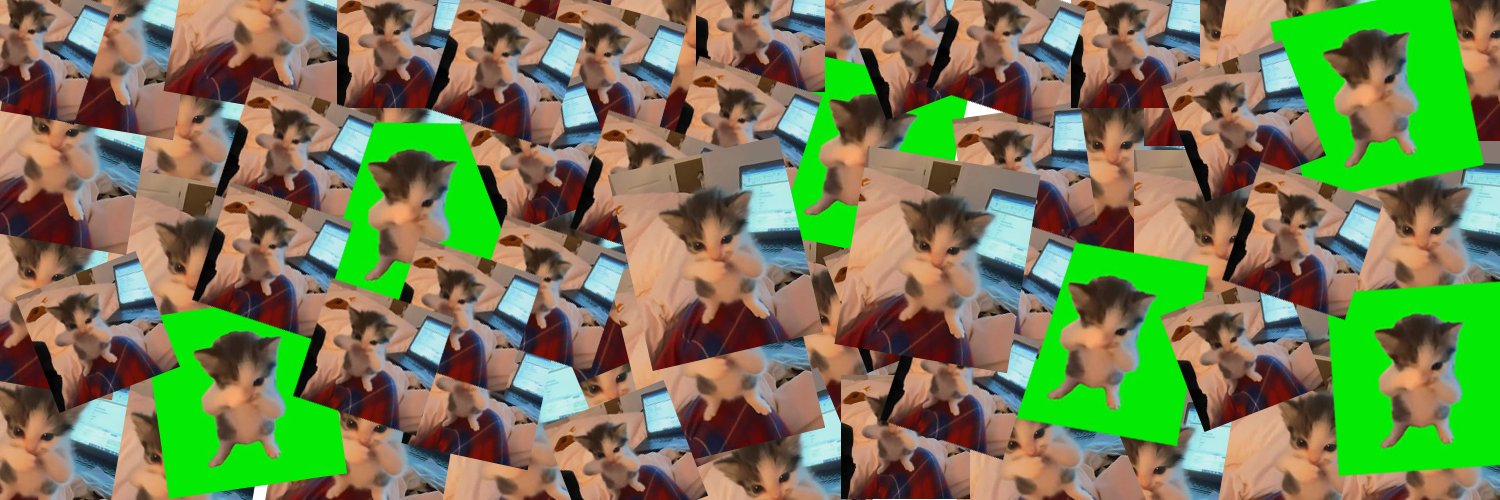 scubaacat's profile banner image