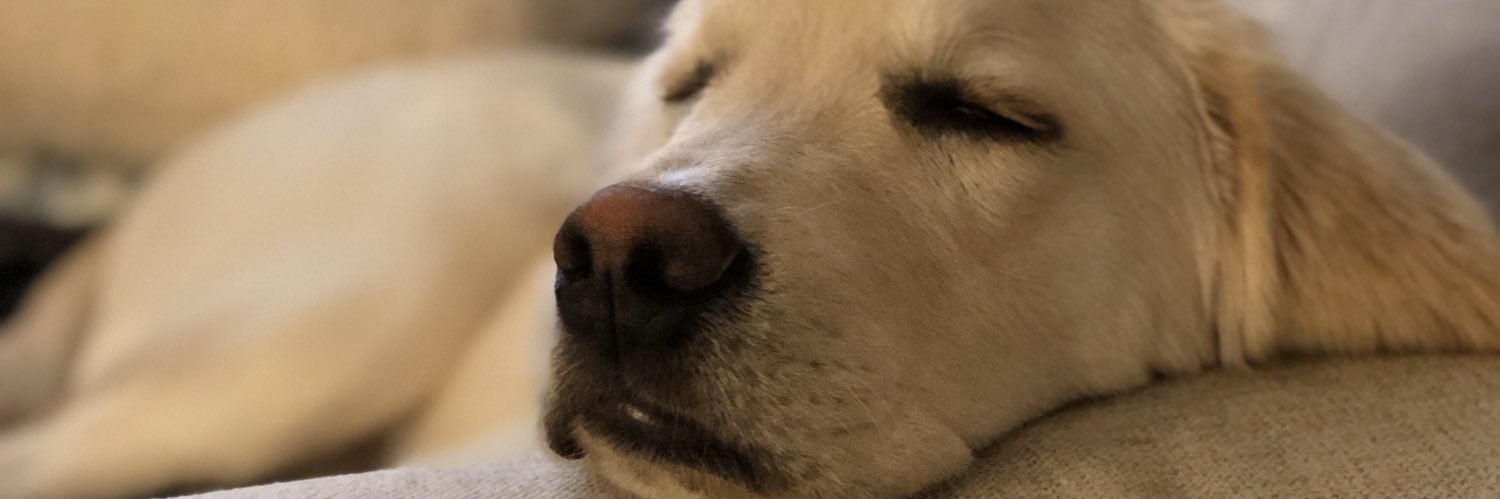 nickjmorgan's profile banner image