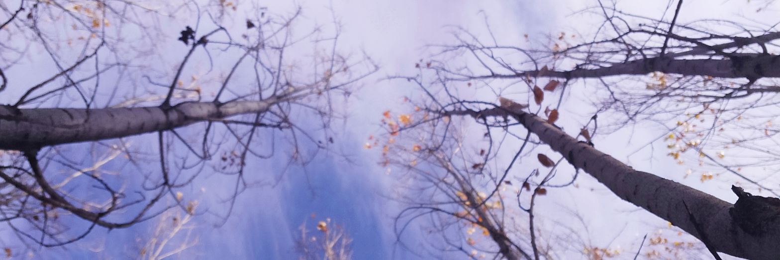 duoman's profile banner image