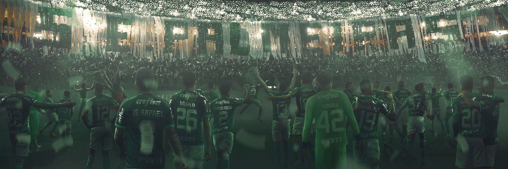 fmelo765's profile banner image