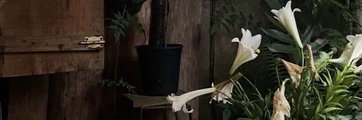 jingho's profile banner image
