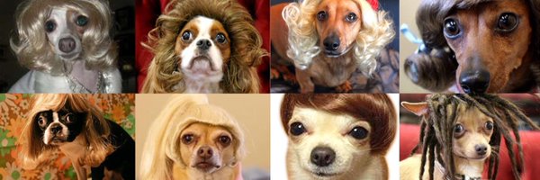 UPeebeepants Profile Banner