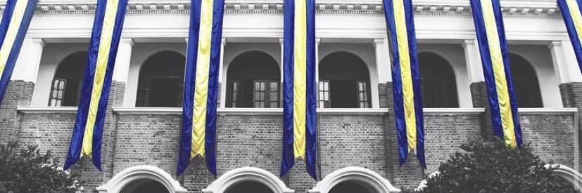 royalcollegelk's profile banner image