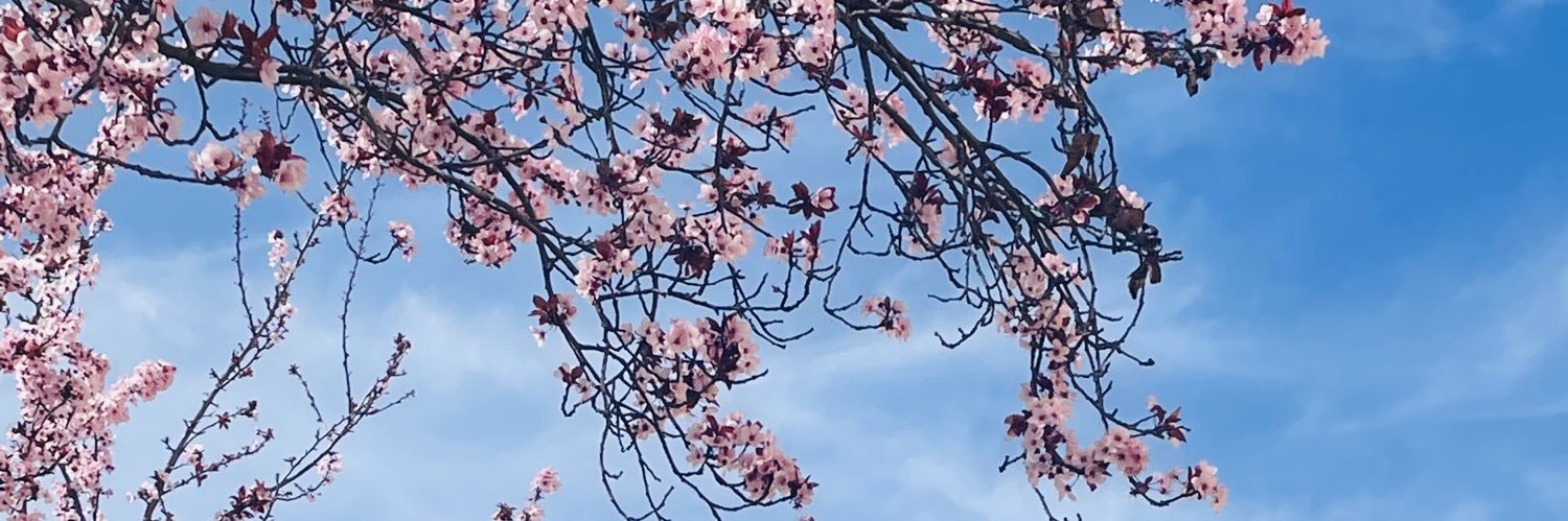 Bstaytrue's profile banner image