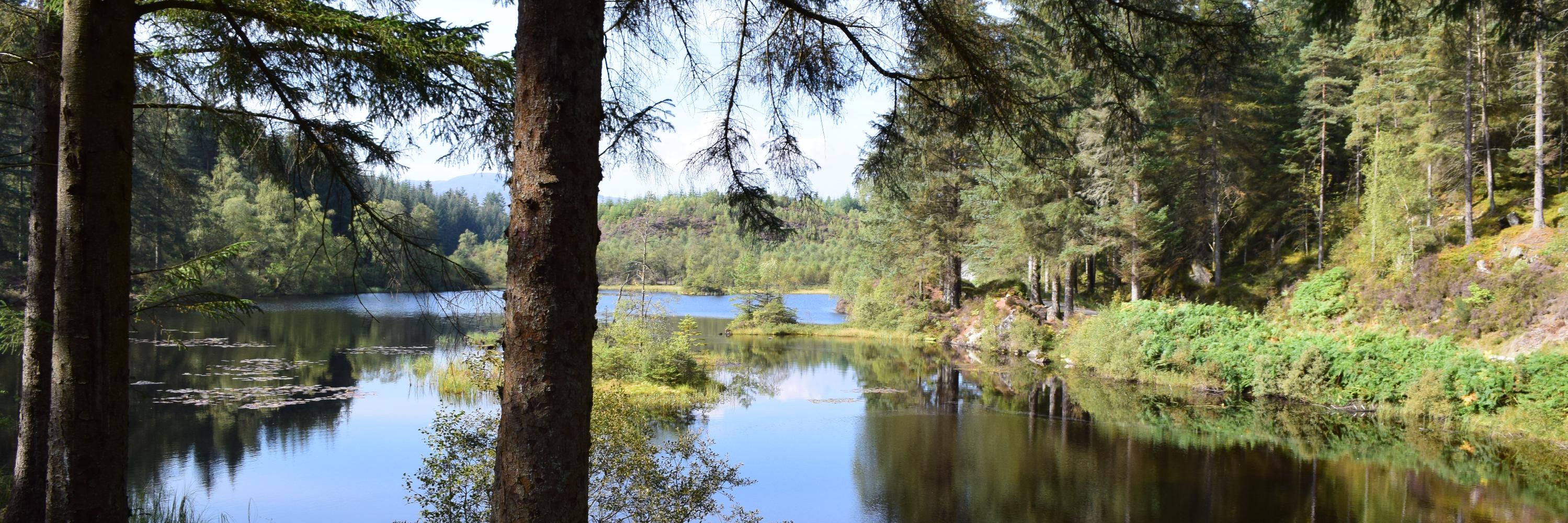 Chris is not here banner