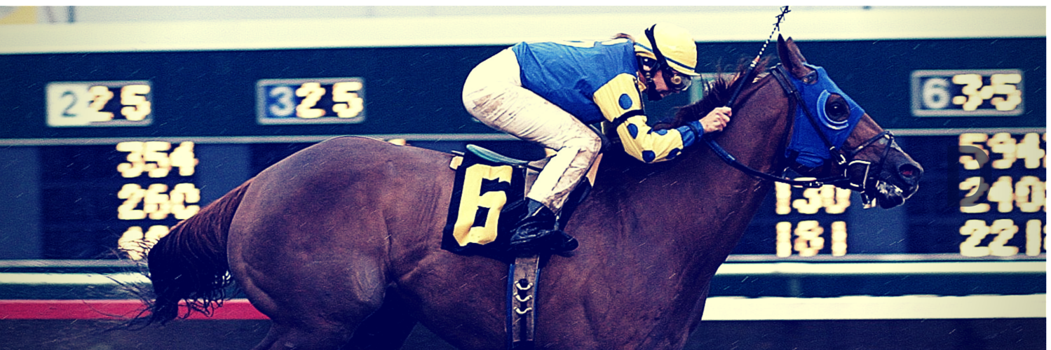 bo_bryant's profile banner image