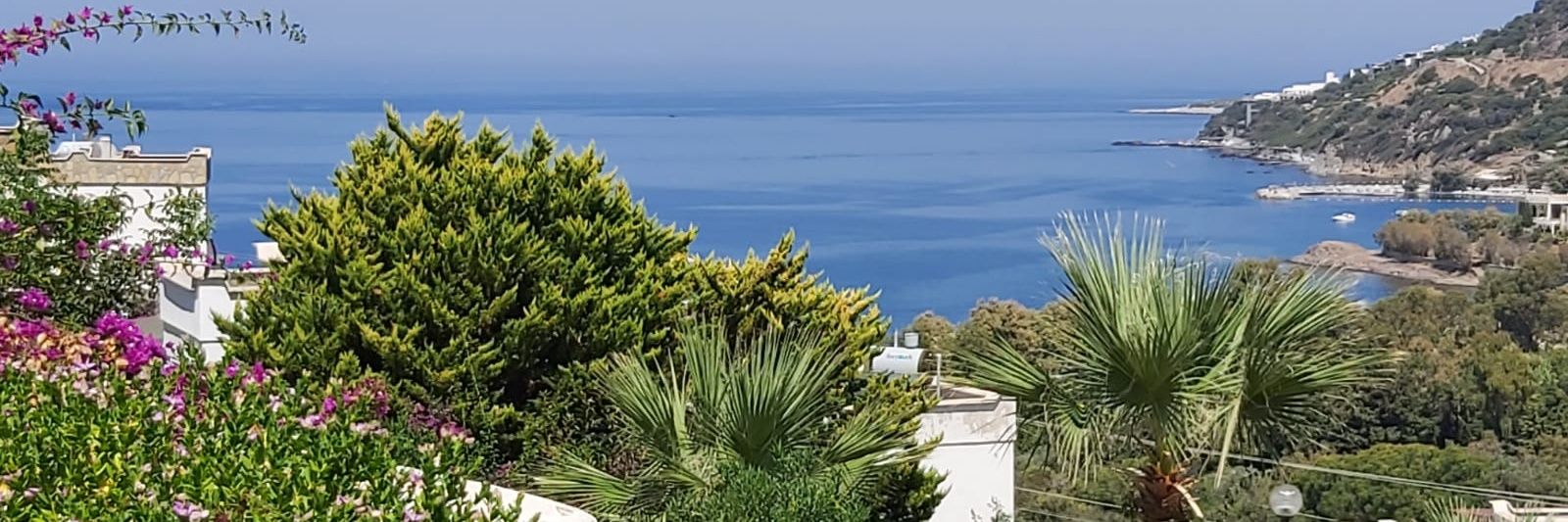 laperktweet's profile banner image
