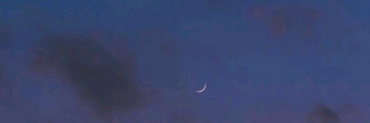 Liss banner