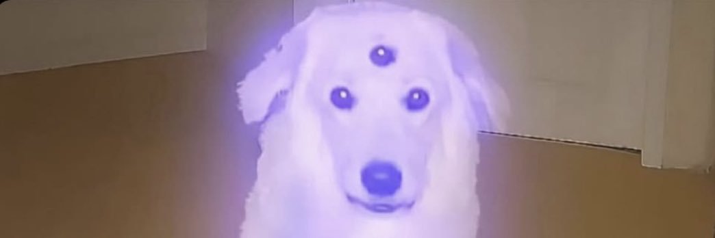 MesicKuu's profile banner image