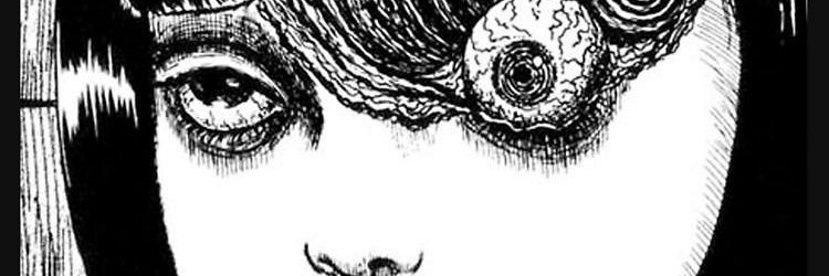 Raptortue banner