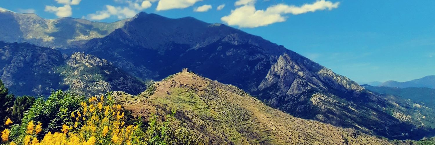 Mylacci's profile banner image