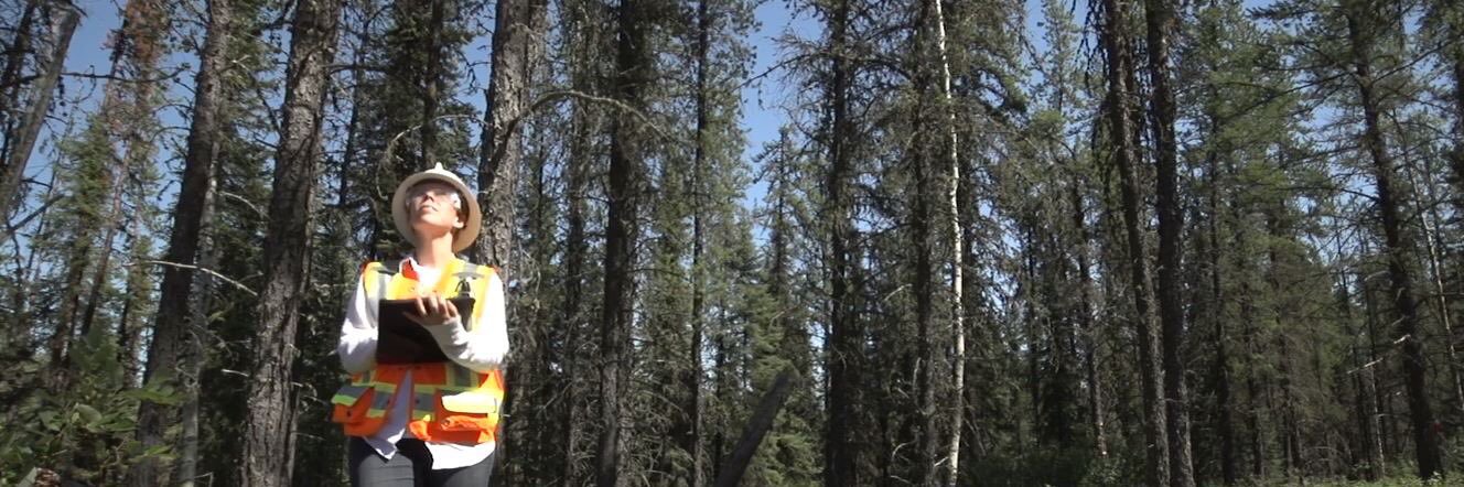 Katalijn MacAfee banner