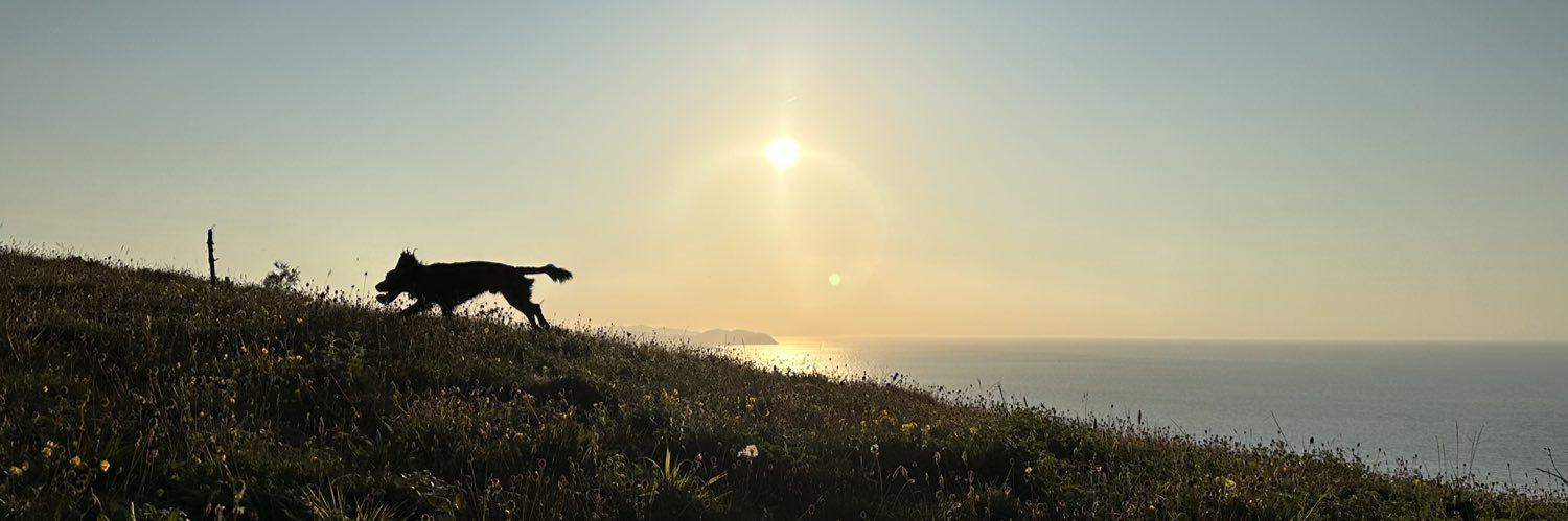 JaseWW's profile banner image