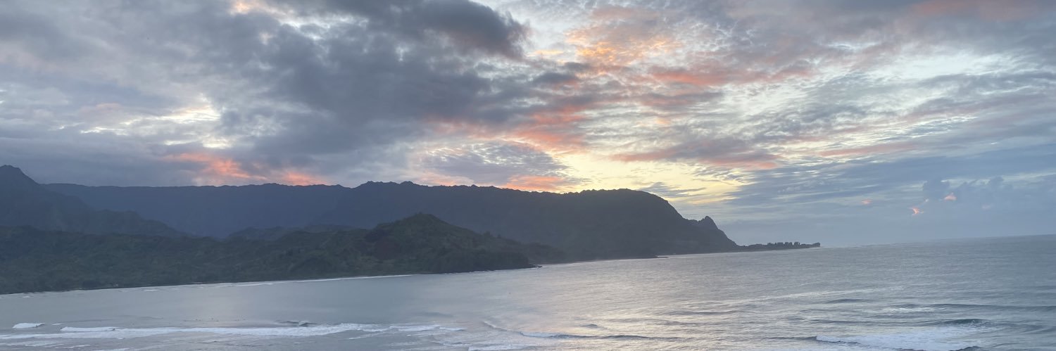 vansullytom's profile banner image