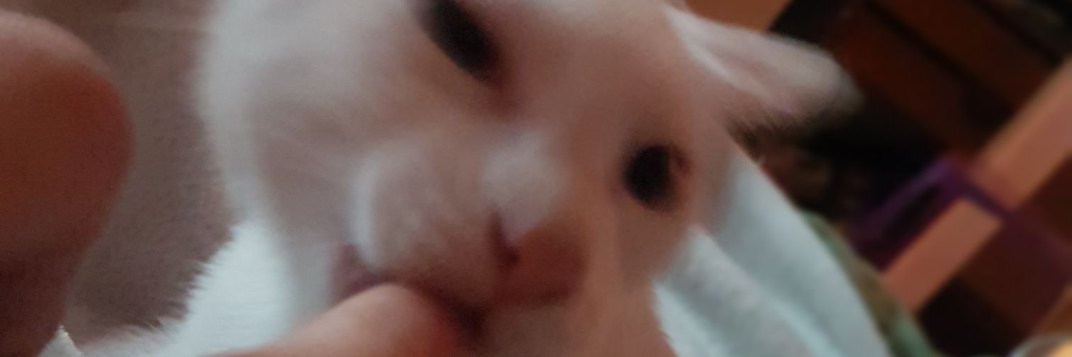 pasyfa3's profile banner image