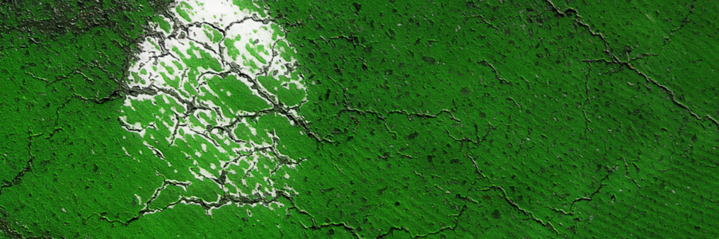 _ElGringo_'s profile banner image