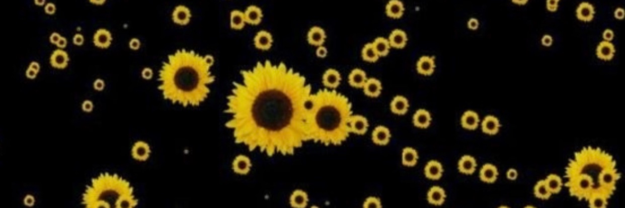 NakaryMC's profile banner image