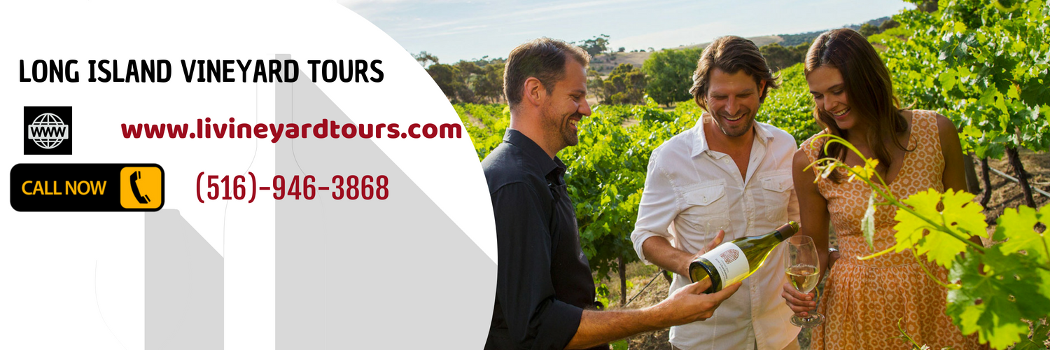 LIVineyardTours's profile banner image