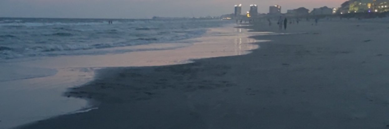 alanarburchette's profile banner image