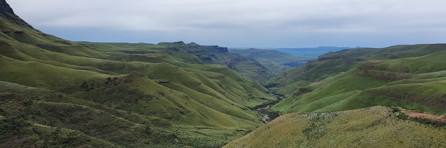 Philip Norton banner