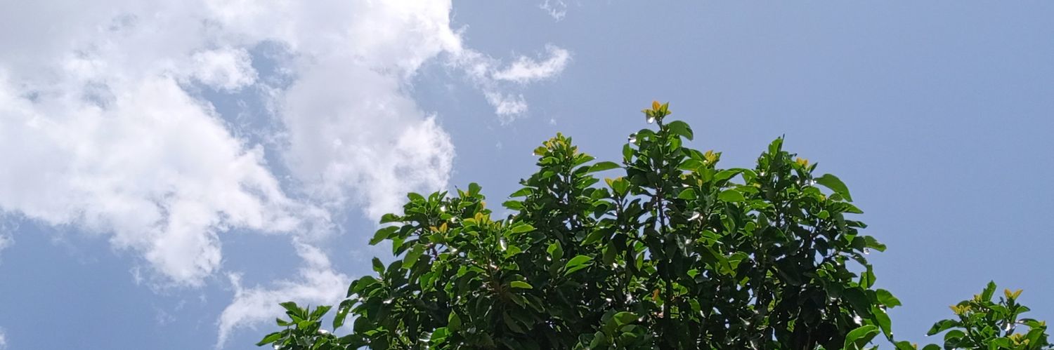 _theamena's profile banner image
