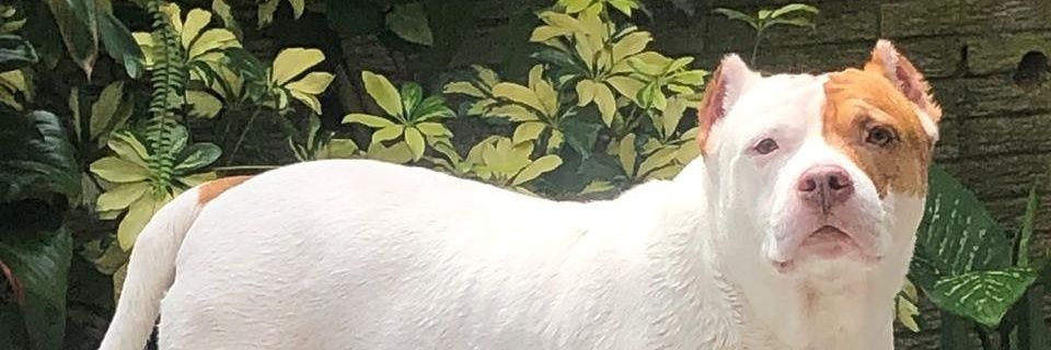 kmarthell's profile banner image