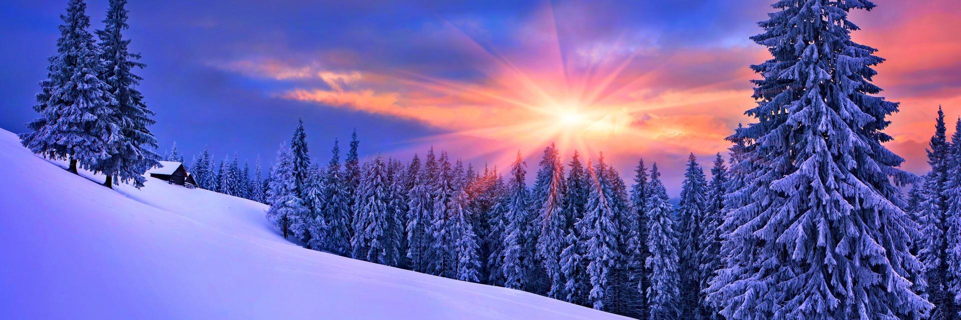 VGArnold's profile banner image