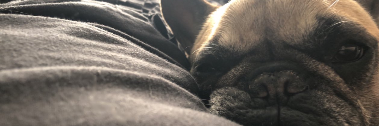 rhonafletcherx's profile banner image