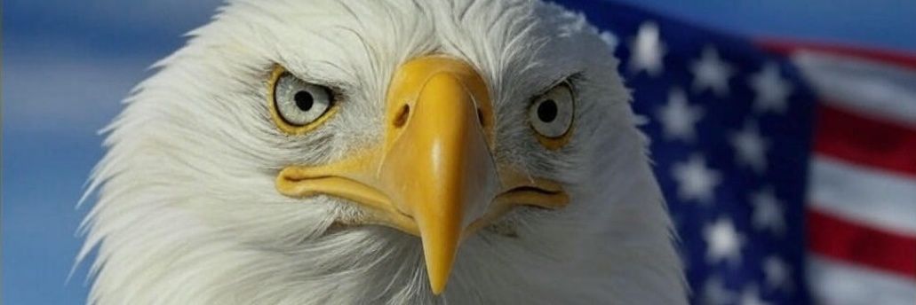 Road Warrior (Pronouns: Military/Tribunals) banner