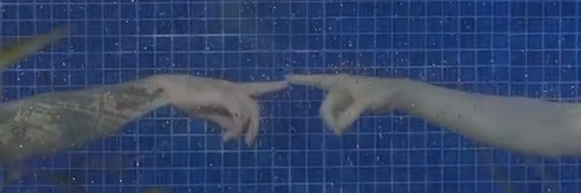 mindinparadise7's profile banner image