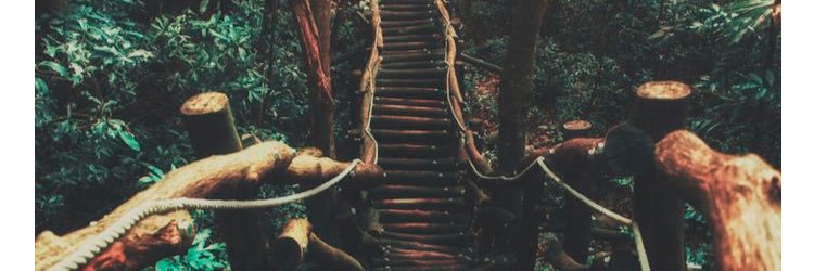marytapps's profile banner image