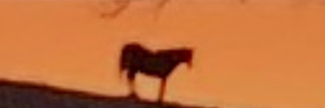 dobby924's profile banner image