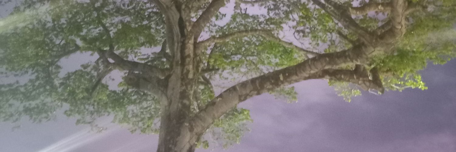 dori banner