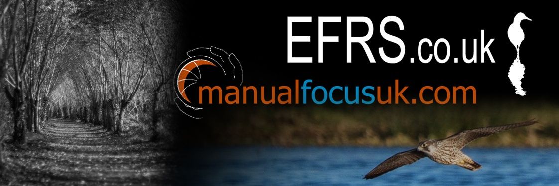 EFRSblog's profile banner image