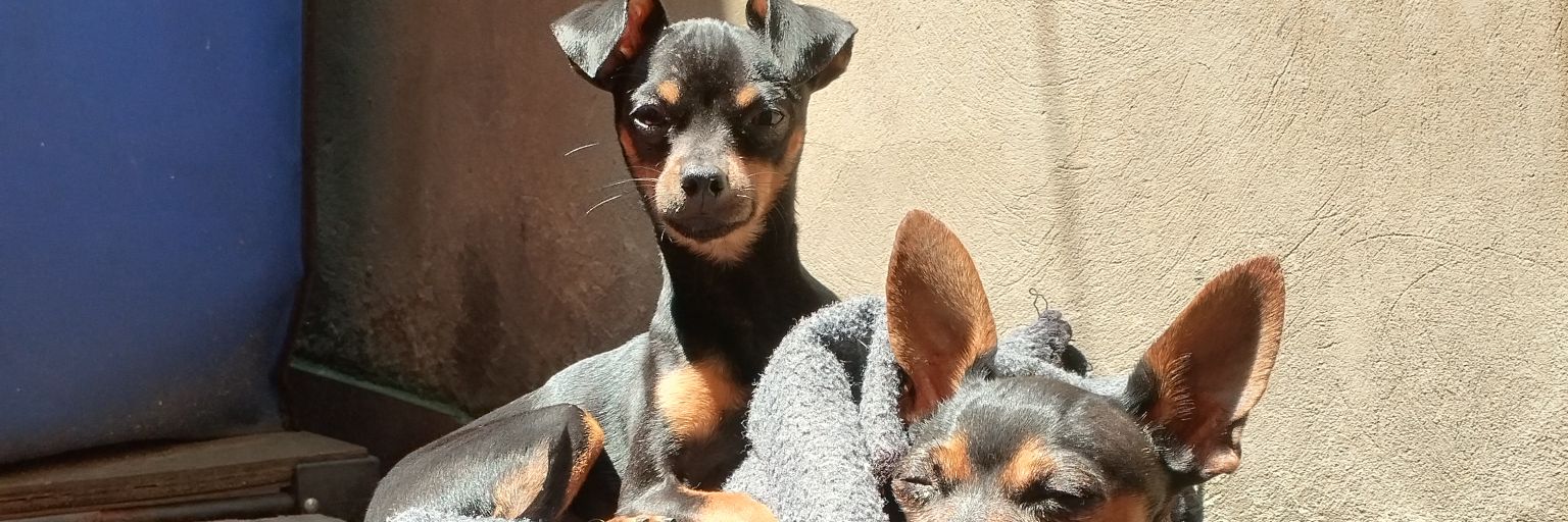 sofypenagos's profile banner image
