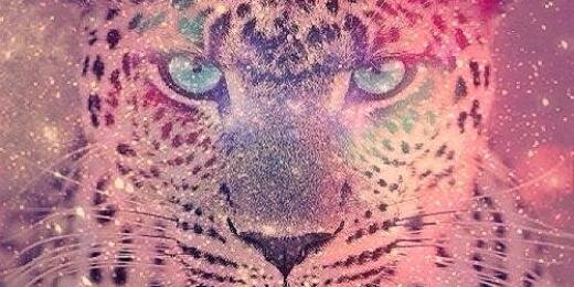 brendaaaaxx's profile banner image