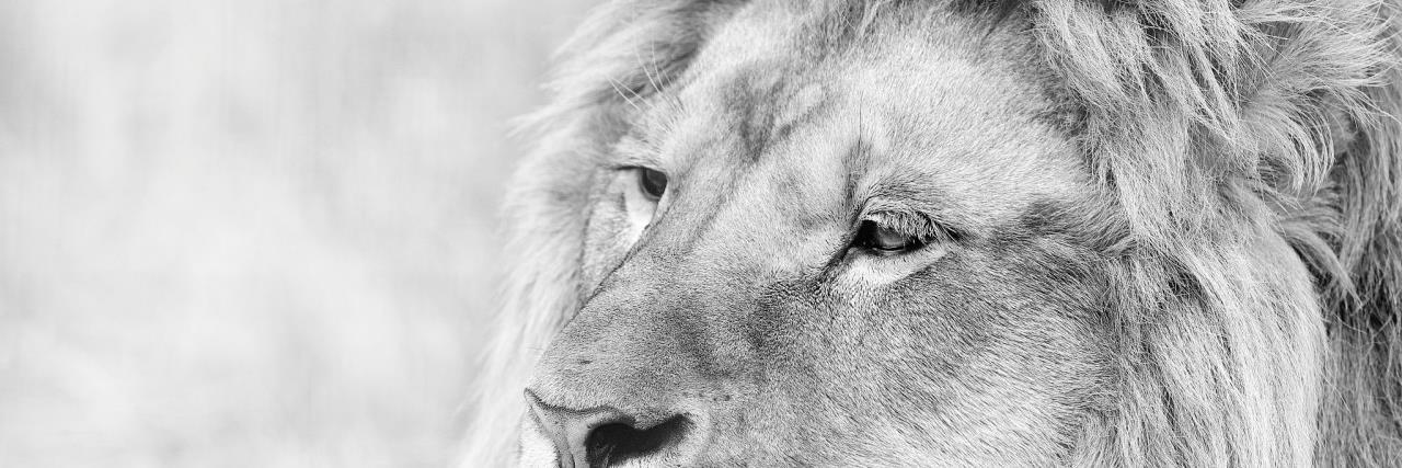 ladmdq's profile banner image